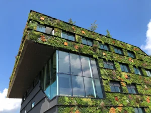 Sustainable building